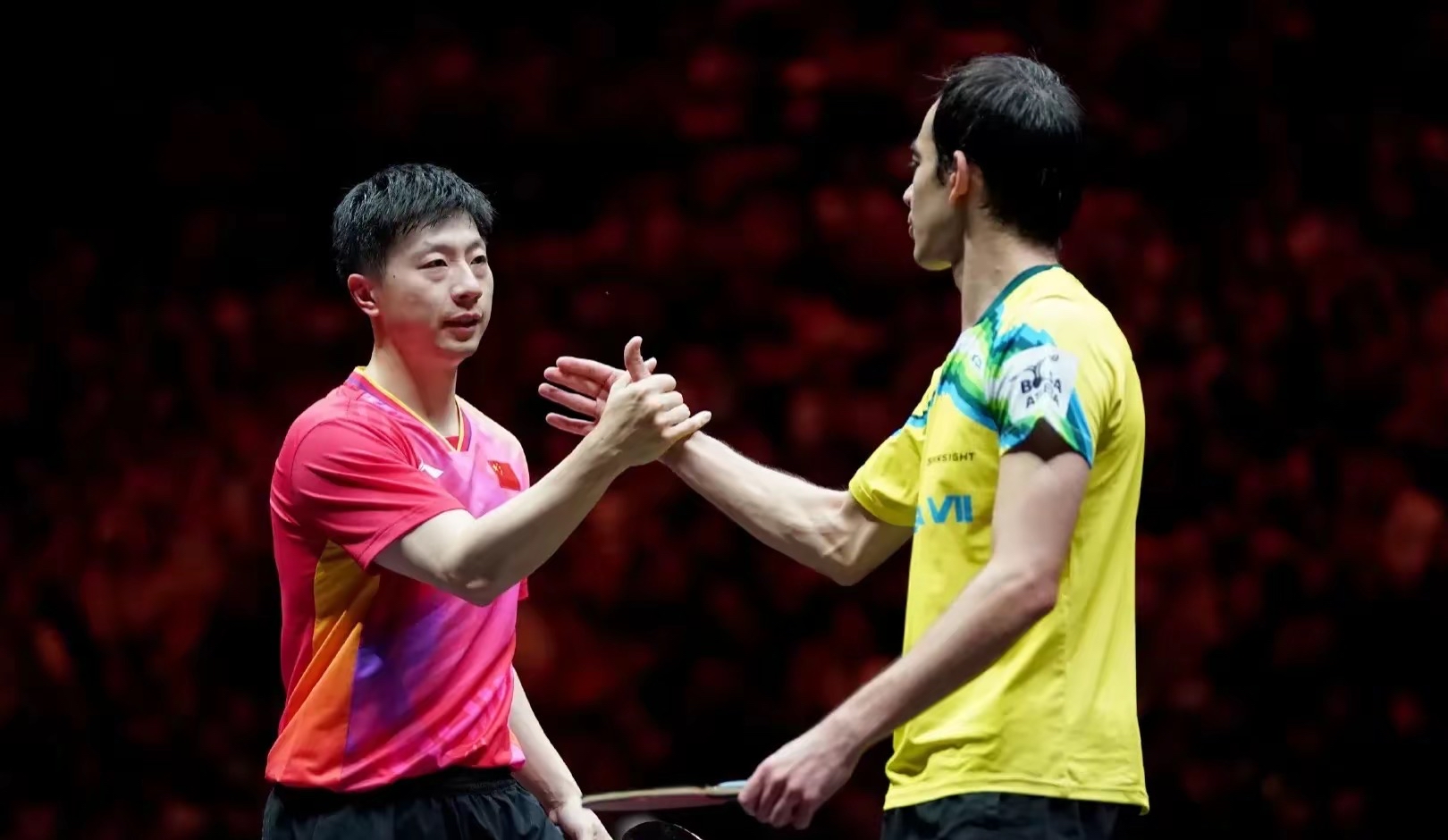 关于法国乒乓球队鏖战波兰乒乓球队，马龙制霸全场的信息